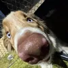 kachowtheaussie