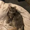 brooklynspaghetti