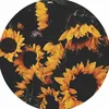 _90scutie