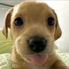 cinnamoonn.girl