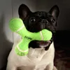 angelobulldog