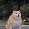 h0ney.badg3r
