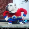 mr_obithebulldog