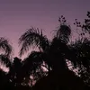 cau_15_