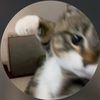 user2024_057