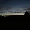 caiseymf