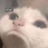 meetaejaihaipai08