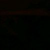 ehalepp._
