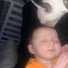 litt_brandi_jeyusofan25