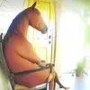 ti