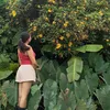 sunflower_241612