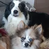 morgane_dp