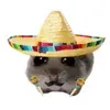 travelingtaquito
