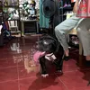 bossekms