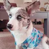 lobothecorgi