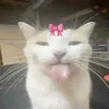 hubba_bubba79