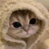rosssyycheekkss