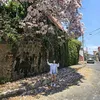 anahivibes1