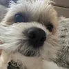 .o1ivix