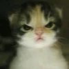 jxliemndz