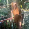 242empress_