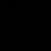joaopaulocampolin