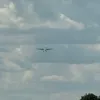 kevzooo