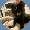 lily10154