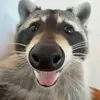 garebear3342