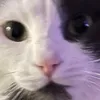 mimieomal