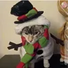 carlabmarti