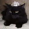 suniemmyy