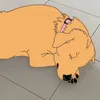 kumkuma130524