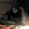 ghost28.1