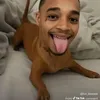 asapbog