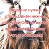tyom18