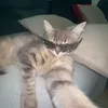 manon_xia