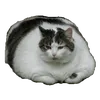 ttrm2