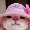 hellllllllle