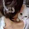 lillyanaarabe
