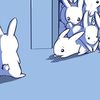 bunny__rabbit