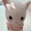 catsarecuteaf55