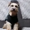 copitoelperrobloguero
