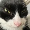 jimmy_tungo