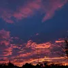 deni_12345_98