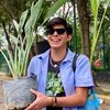 mala.planta