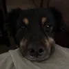 roscoe101522
