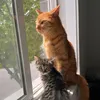 itsgettingsticky01
