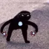 bakachachaa
