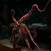 medinacsam